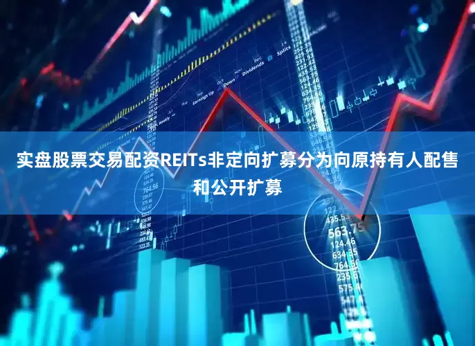 实盘股票交易配资REITs非定向扩募分为向原持有人配售和公开扩募
