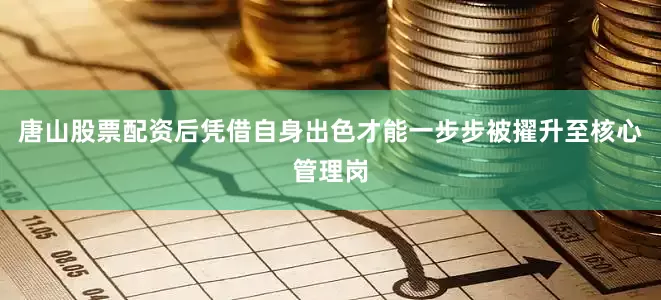 唐山股票配资后凭借自身出色才能一步步被擢升至核心管理岗