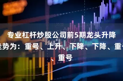 专业杠杆炒股公司前5期龙头升降走势为：重号、上升、下降、下降、重号