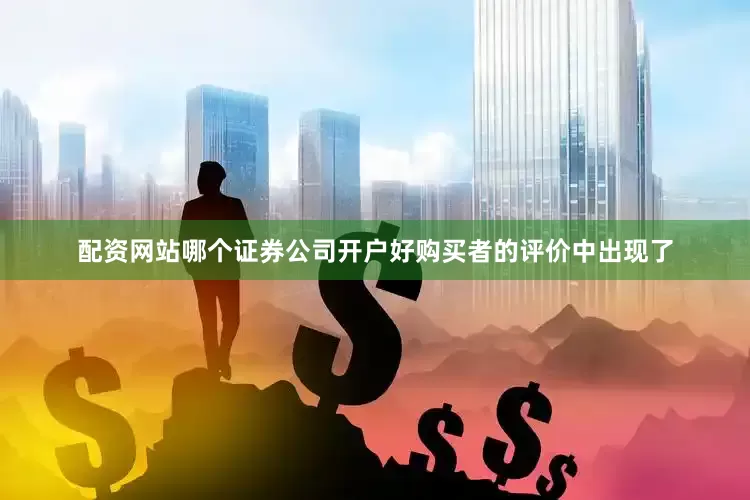 配资网站哪个证券公司开户好购买者的评价中出现了