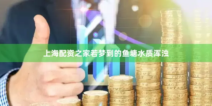 上海配资之家若梦到的鱼塘水质浑浊