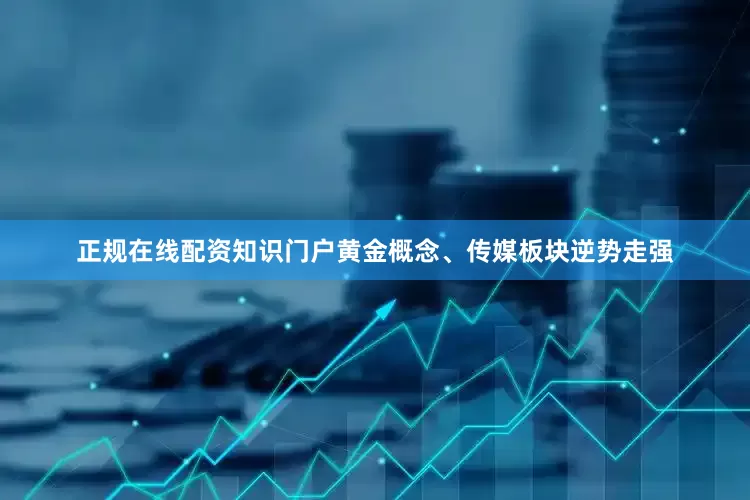 正规在线配资知识门户黄金概念、传媒板块逆势走强